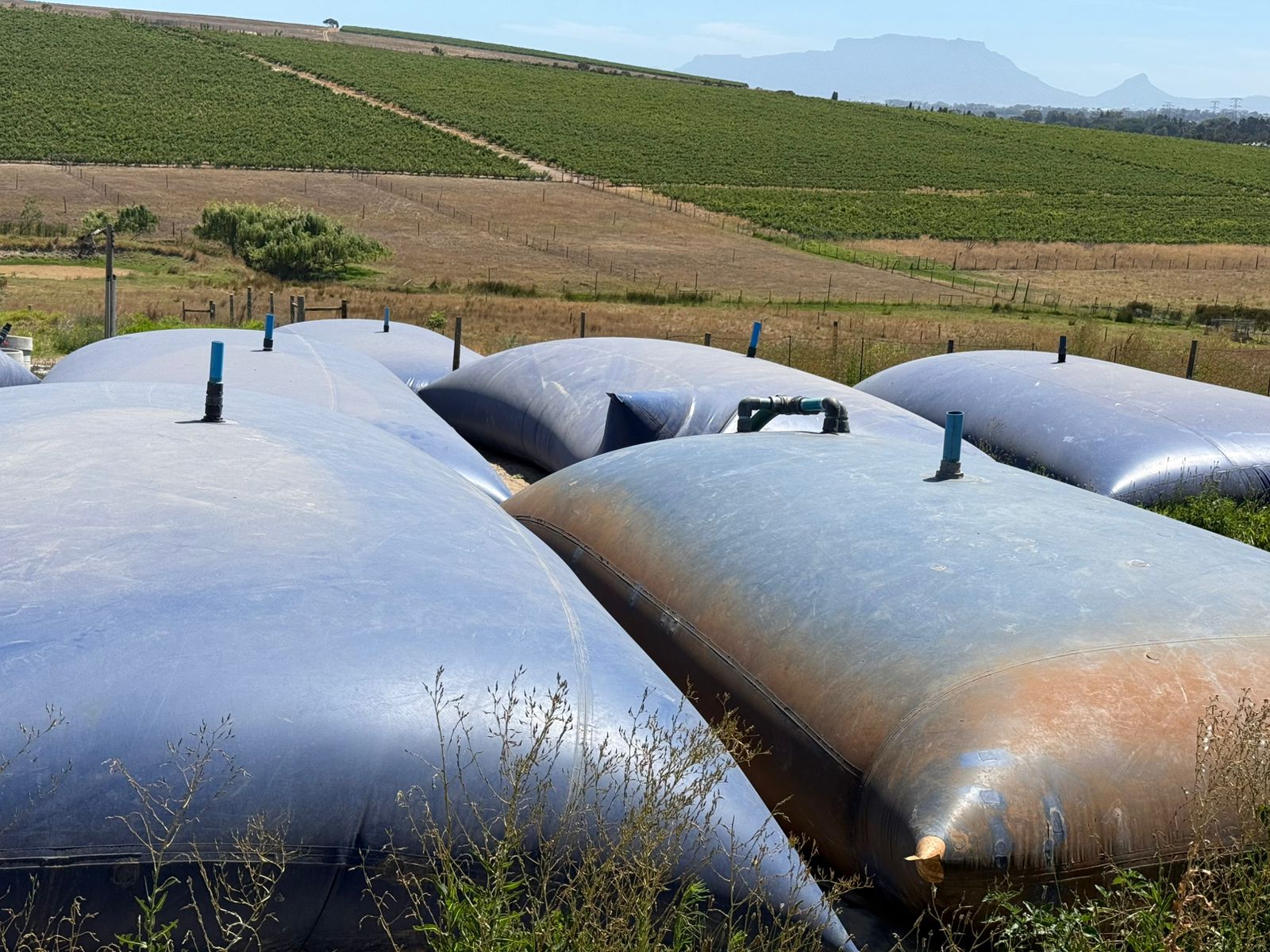 Swimming Pool Installation 